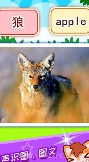 盛火宝宝看图识字截图3