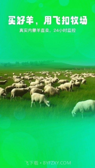 飞扣牧场截图4 飞扣牧场截图4