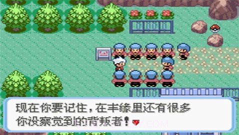 口袋妖怪:蛇纹木截图1 口袋妖怪:蛇纹木截图1