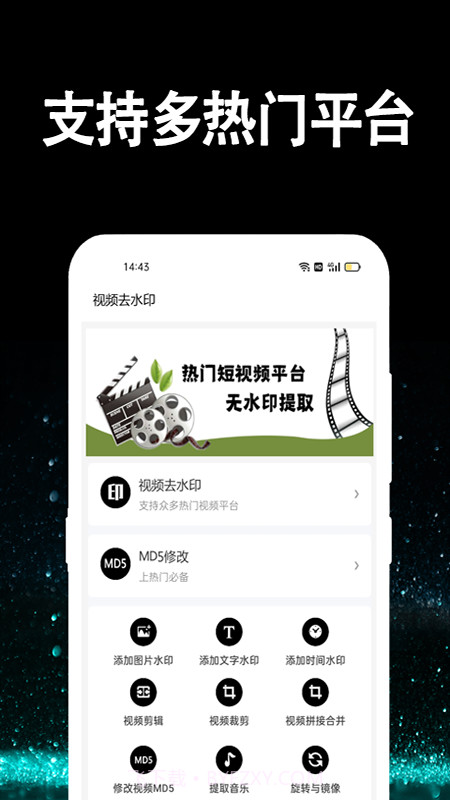 简易视频去水印截图1