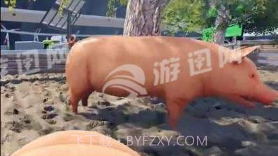 自己是一只猪截图2