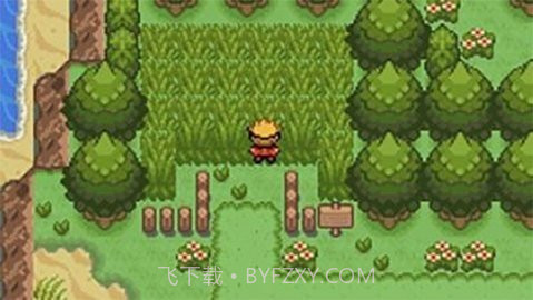 口袋妖怪釉色金手指截图3