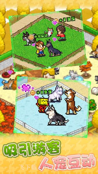 发现狗狗乐园截图4