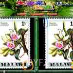 IGS经典游戏大合集截图2 IGS经典游戏大合集截图2