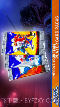 Hockey All Stars截图1