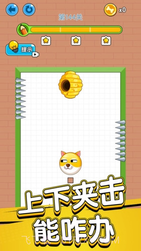 狗狗肿么了截图3