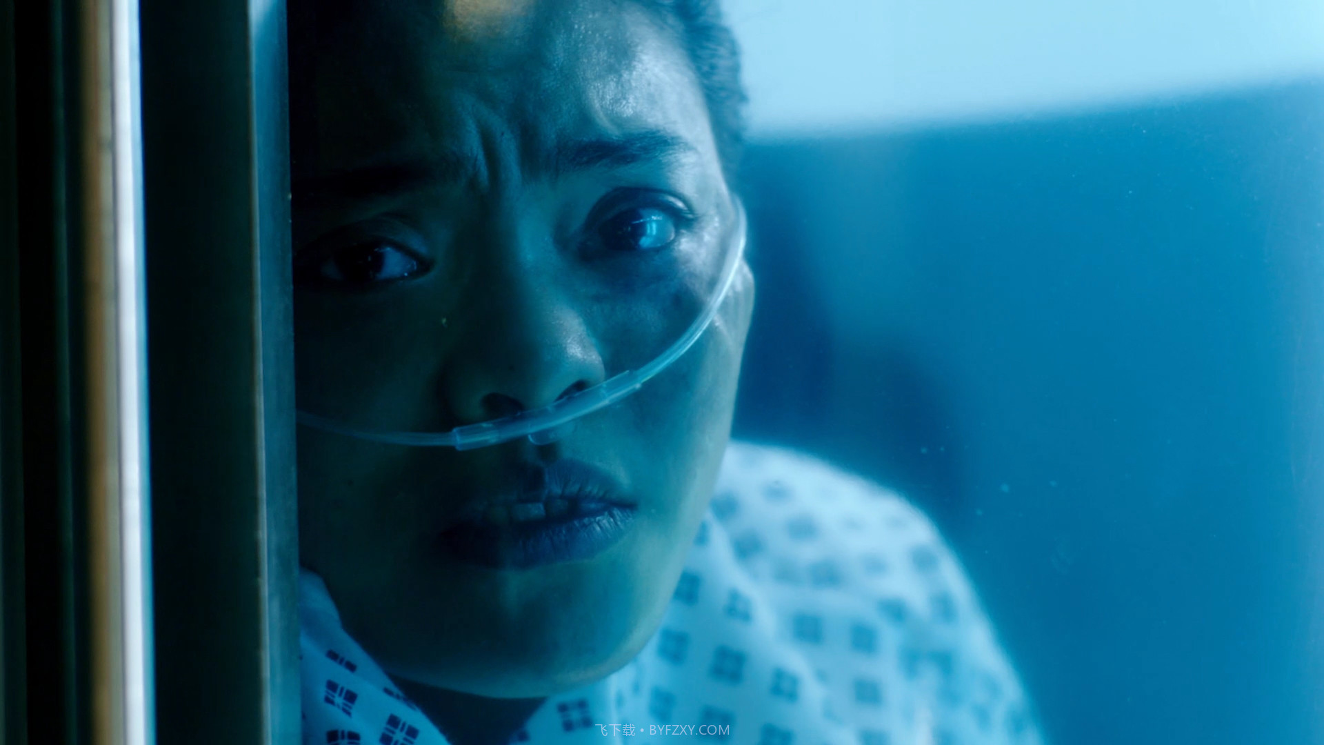 复体截图1 复体截图1