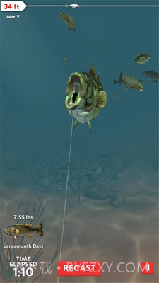 真实3D钓鱼APP截图1 真实3D钓鱼APP截图1