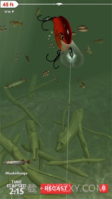 真实3D钓鱼APP截图3 真实3D钓鱼APP截图3