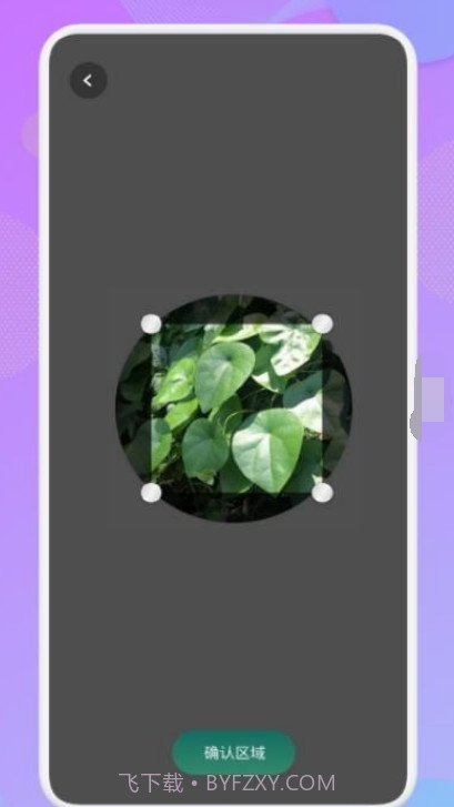 智能识图识物截图1 智能识图识物截图1