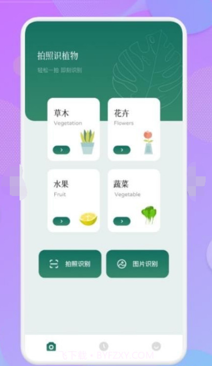 智能识图识物截图3 智能识图识物截图3