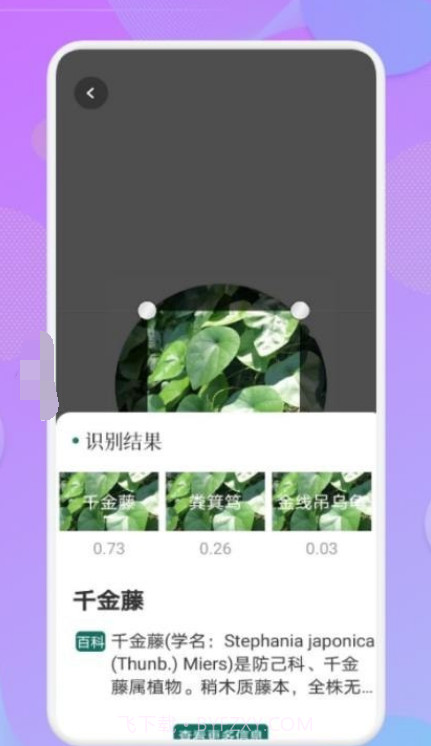 智能识图识物截图2 智能识图识物截图2