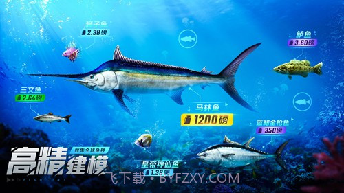 欢乐钓鱼大师无广告截图4 欢乐钓鱼大师无广告截图4