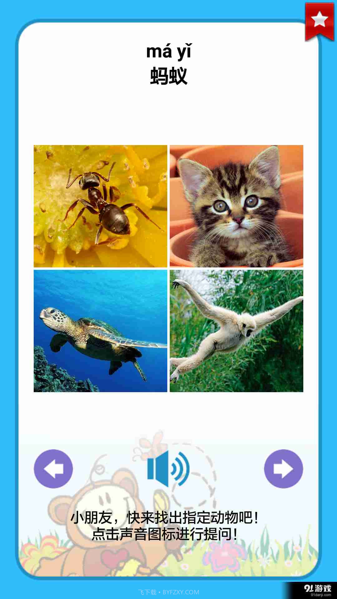 看图识动物截图4