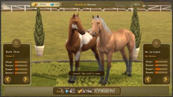 障碍赛马冠军3截图2