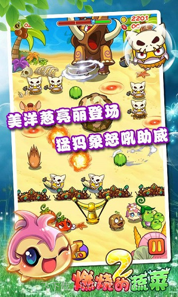 燃烧的蔬菜2经典版截图3