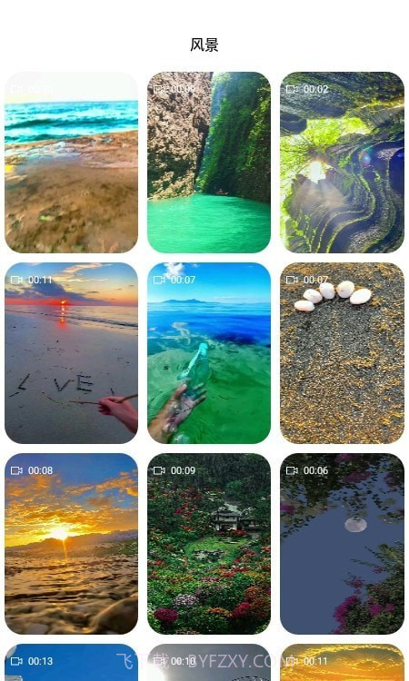 飞花动态壁纸截图3 飞花动态壁纸截图3
