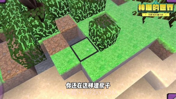 神秘的世界截图2