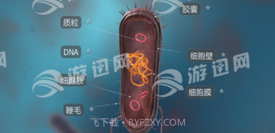 细菌互动教育官网版截图1