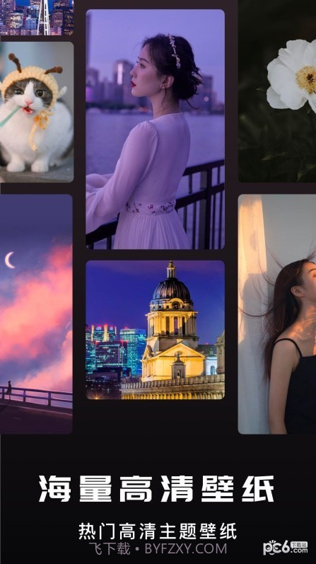 萤火虫壁纸截图1