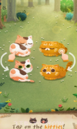 猫咪密林截图2