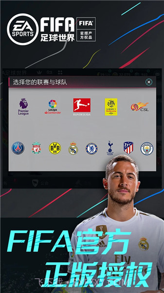 FIFA世界足球12截图1