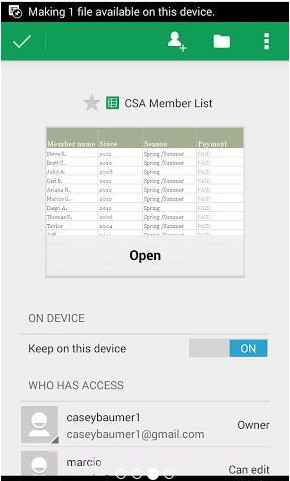Google表格:Google Sheets截图3