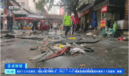 神鸟电视TV版截图2