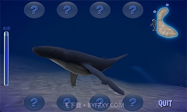 座头鲸模拟器截图3