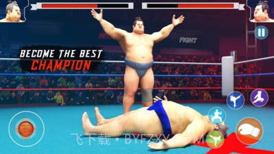 日本相扑赛截图2