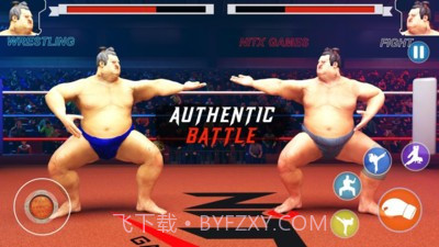 日本相扑赛截图4