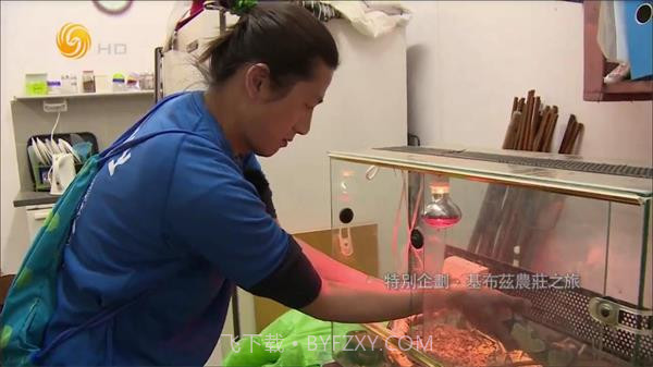 大视界tv港澳台版截图3