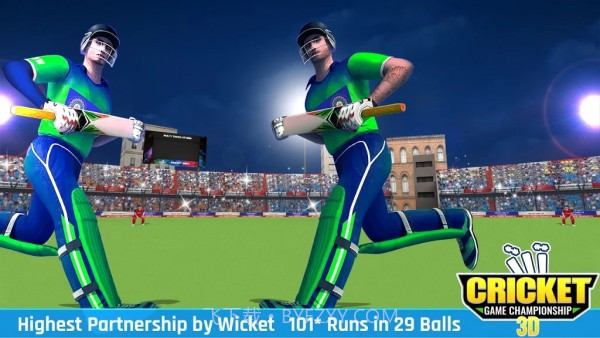 板球比赛冠军3D截图3