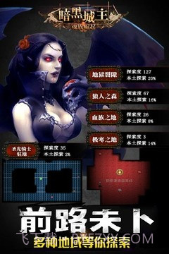 暗黑城主单机版截图1