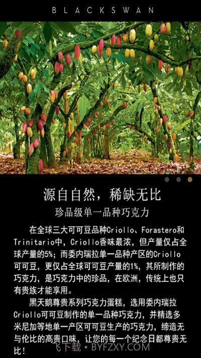 黑天鹅蛋糕截图3 黑天鹅蛋糕截图3