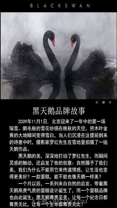 黑天鹅蛋糕截图2 黑天鹅蛋糕截图2