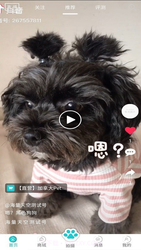 分分宠最新版截图1 分分宠最新版截图1