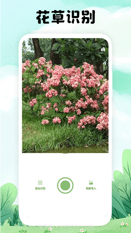 万物识图手机版截图3