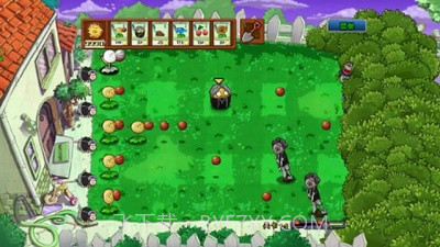 植物大战僵尸坤坤版截图2 植物大战僵尸坤坤版截图2