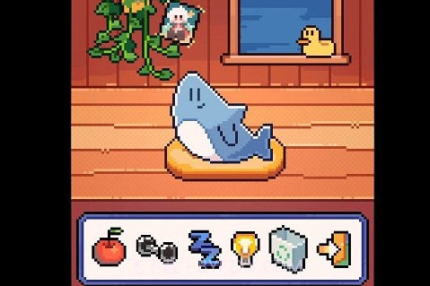 我的小鲨鱼最新版截图1 我的小鲨鱼最新版截图1