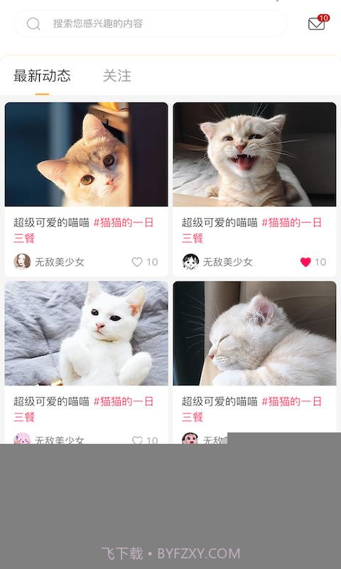 云养猫截图3