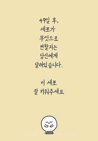 我和细胞的49天生活截图3