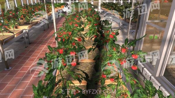 农民模拟器截图4