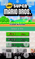 NDS模拟器:Dsoid截图1