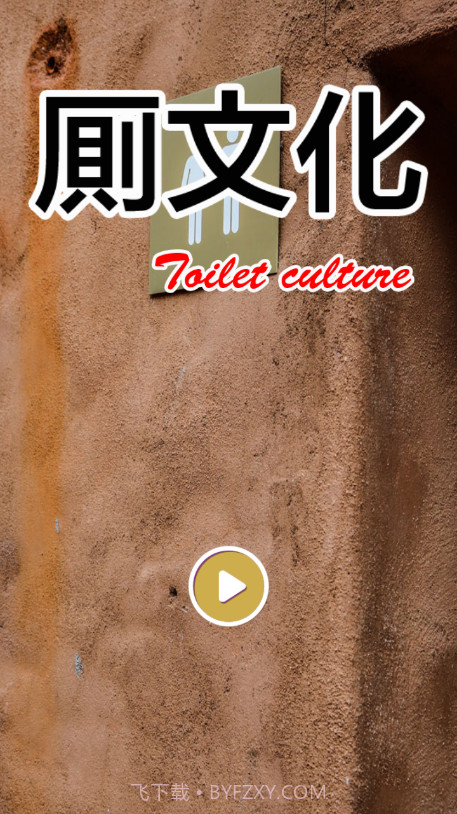厕所文化截图2 厕所文化截图2