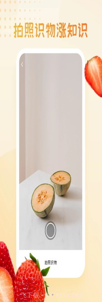 水果图片大全截图3