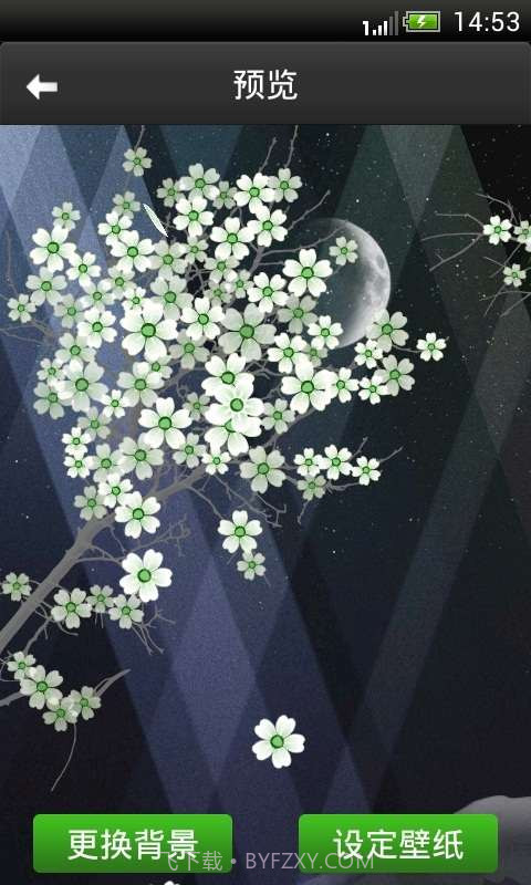 高清樱花动态壁纸截图5