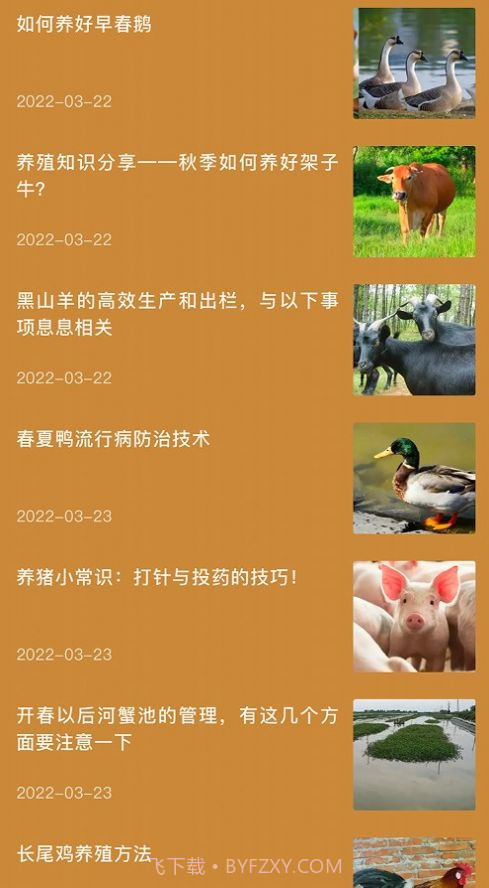 田园小院子截图3