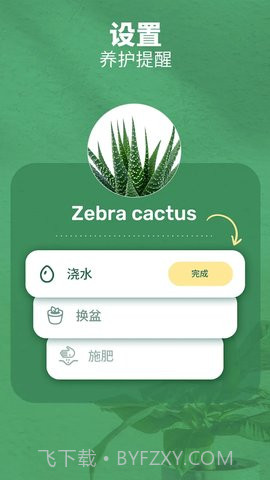繁花盛开截图3 繁花盛开截图3