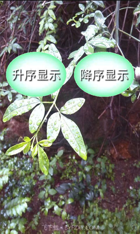 小学数学公式大全截图2